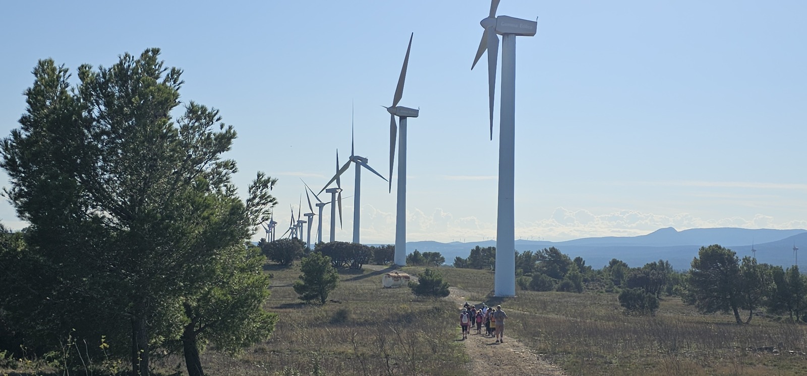 2024.10.23-Les éoliennes de Sigean 