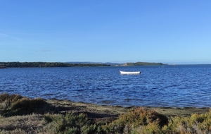 15/11/2023 : Les cabanes de Sigean