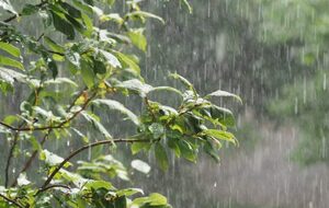 Vu la météo la randonnée d'aujourd'hui est annulée, ne risquons pas de tomber malade. A très vite