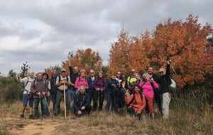 2025.10.19-Panoramas-Labastide-en-val