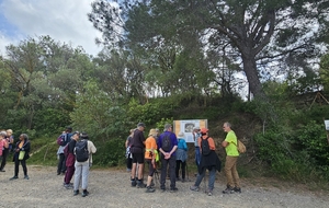 2026.04.29-Pech Maho