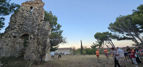 2026.07.27-Marche Nocturne