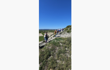 2026.04.08-Cavettes