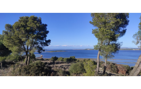 08/11/2023 : Frescati