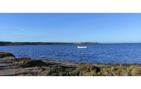 15/11/2023 : Les cabanes de Sigean