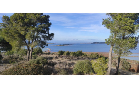 2024.01.03 - Frescati