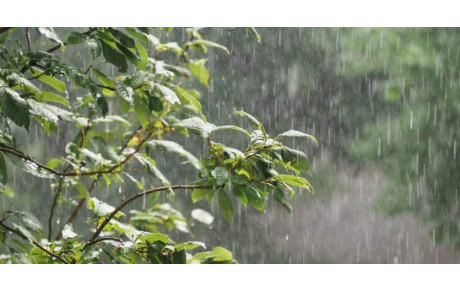 Vu la météo la randonnée d'aujourd'hui est annulée, ne risquons pas de tomber malade. A très vite