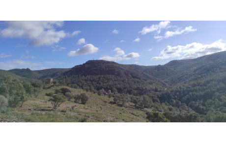 11/02/2024: La Combe d'Enfer du Massif de Fontfroide