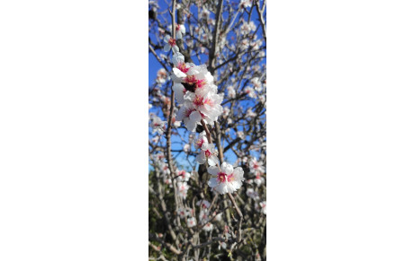 14/02/2024: La Franqui