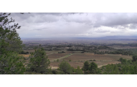 03/05/2024: Siran centeilles