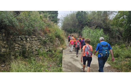 2025.06.04-3 passage