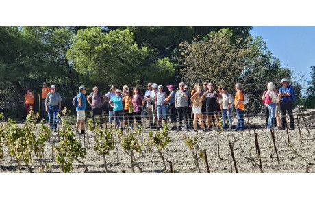 2025.10.08-Les cavettes 