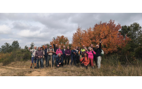2025.10.19-Panoramas-Labastide-en-val