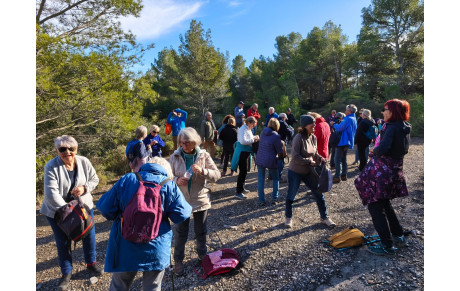 2026.02.04-3 passages du Rieux